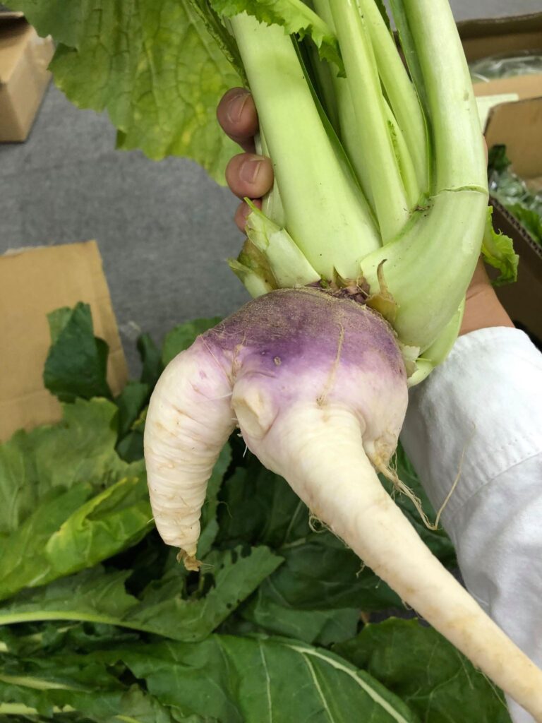 やさい野沢菜 愛の野菜伝道師